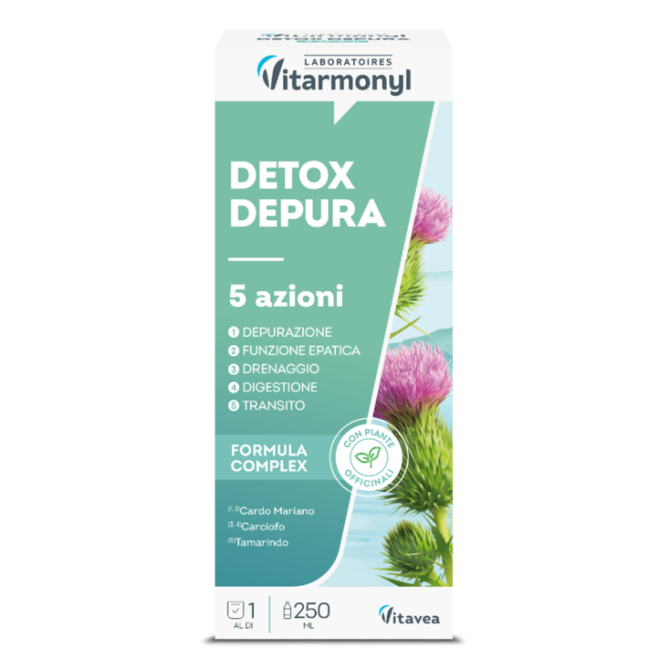 Detox Depura Vitarmonyl 250ml