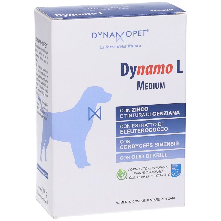 DYNAMO L MEDIUM 20BUST 10G