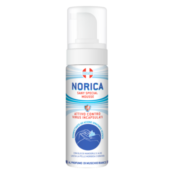 NORICA MOUSSE DISINF HANDS100ML