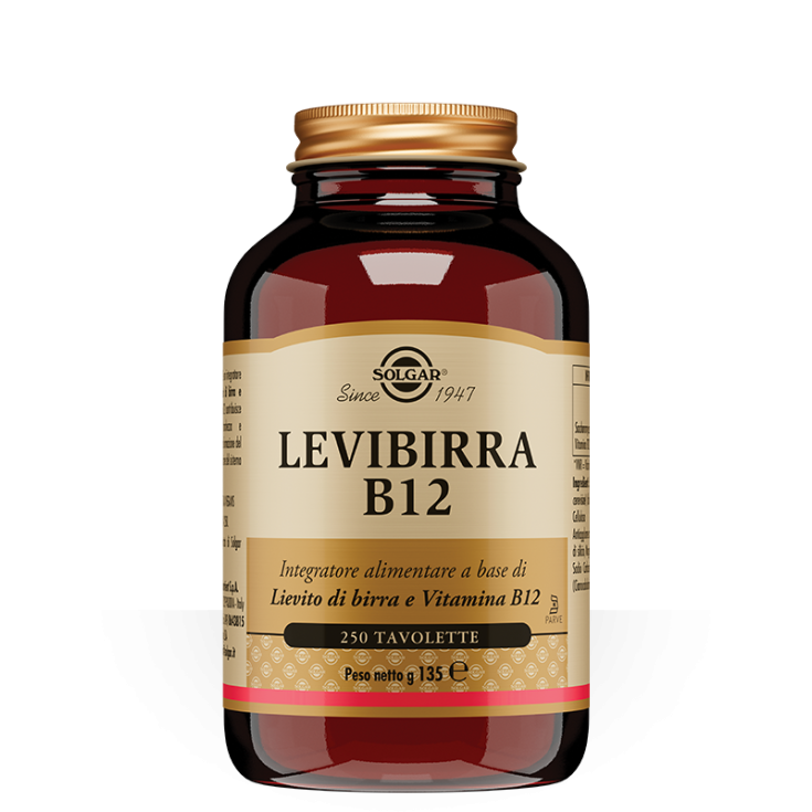 LEVIBREER B12 250TAV