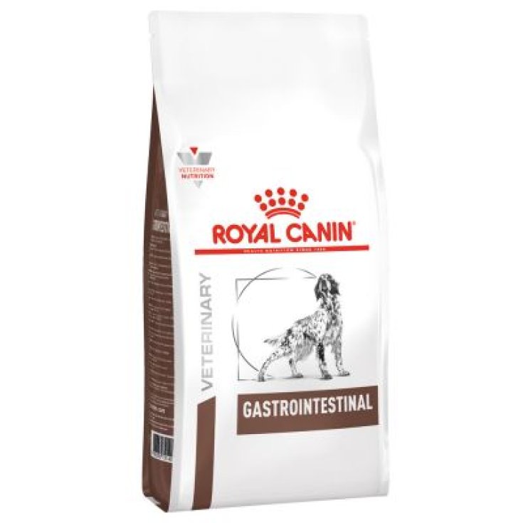 VHN DOG GASTRO INTEST AD 2KG