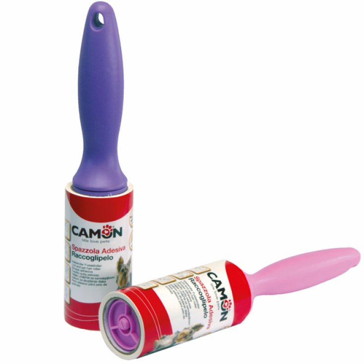 ADHESIVE BRUSH TO COLLECT FUR