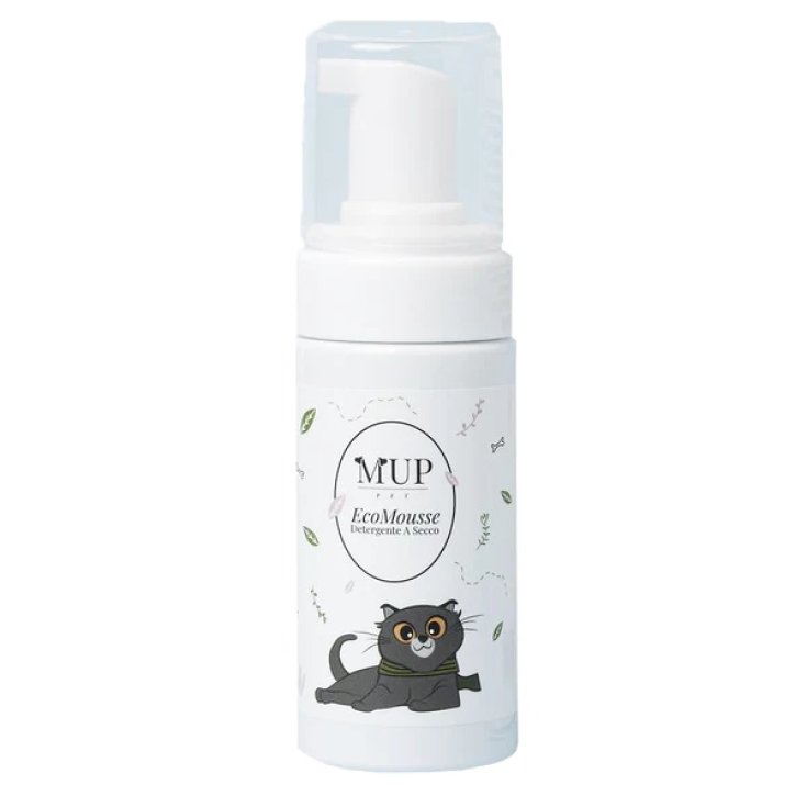 Eco Mousse Dry Cleaner MUP PET 100ml