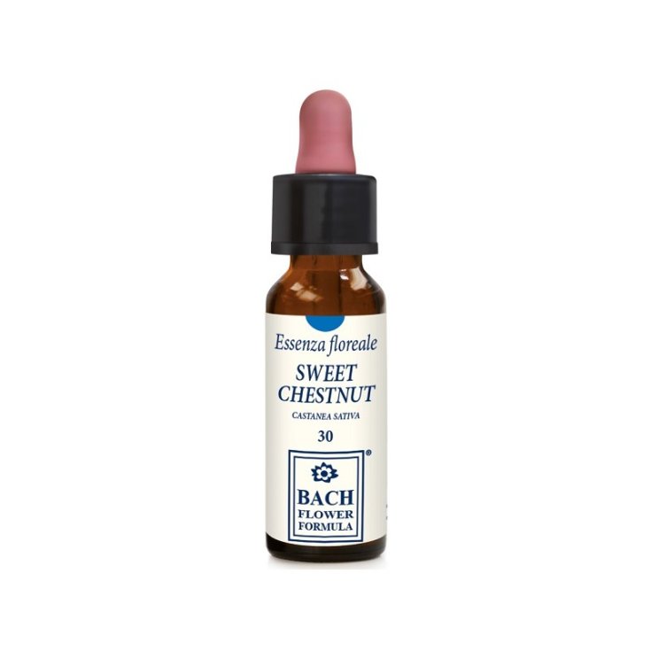 SWEET CHESTNUT ORIGINAL 10ML