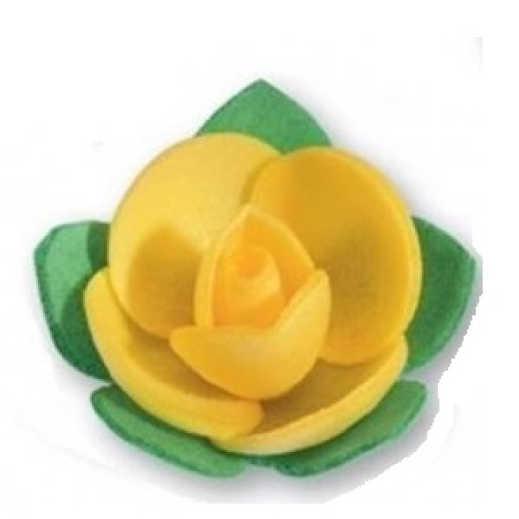 IPAFOOD YELLOW HOST ROSELLINE