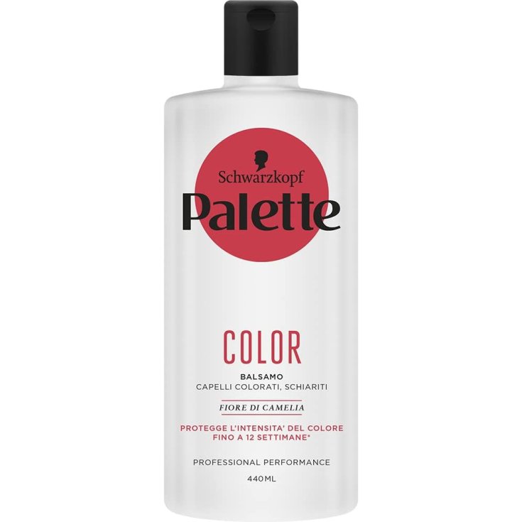 PALETTE NEW COLOR BALM 440 ML