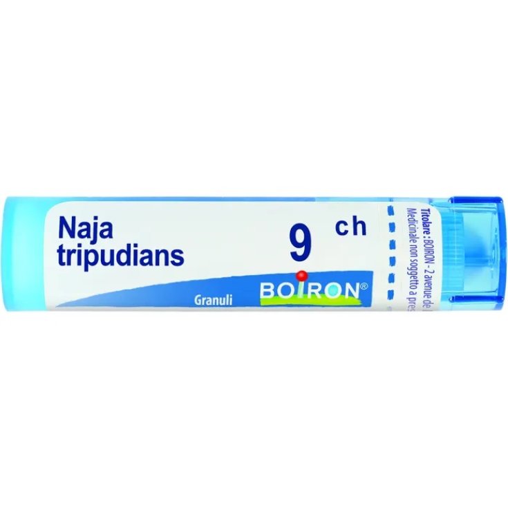 NAJA TRIPUDIANS 9CH GR