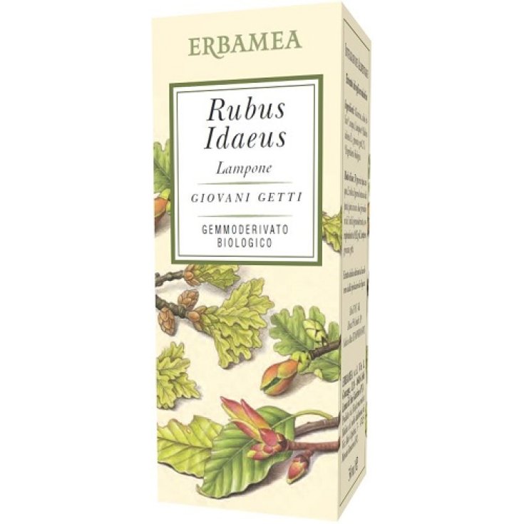 RUBUS IDAEUS ORGANIC RASPBERRY 50ML