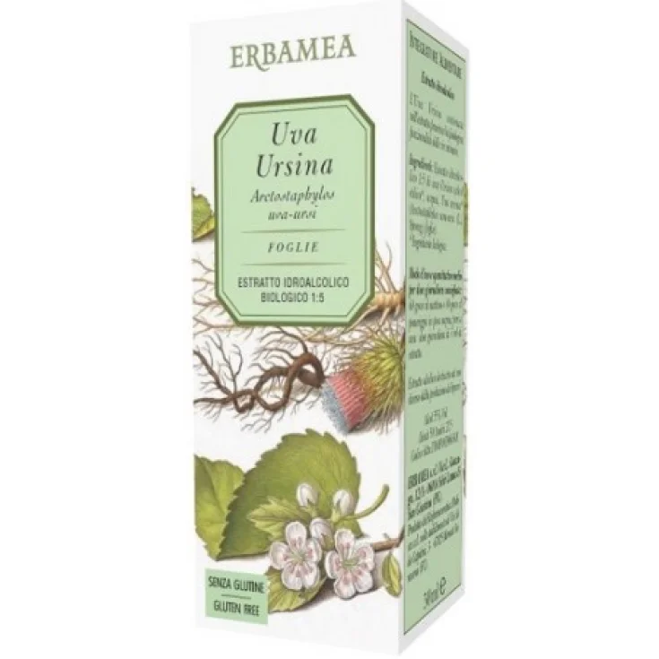 BEARBERRY 50ML