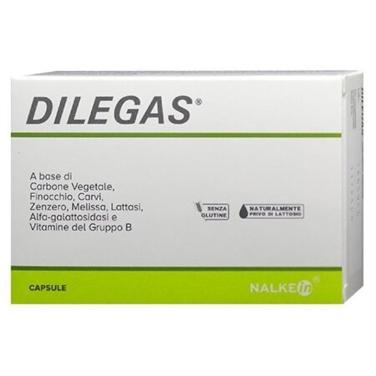 DILEGAS TABLETS 30CPR