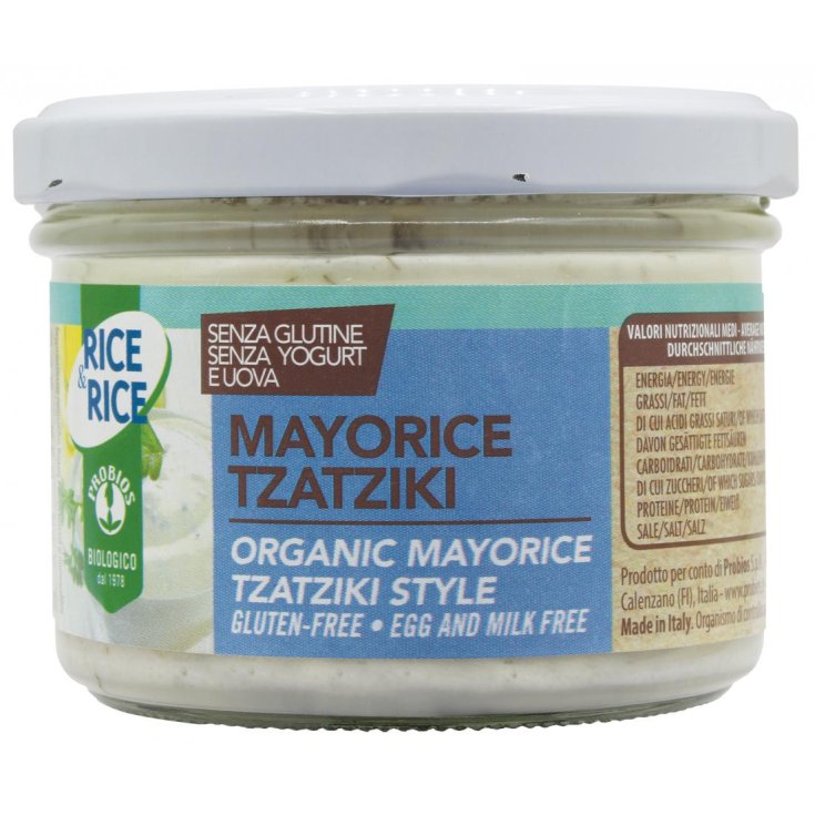 R&R MAYORICE TZSATZIKI 165G