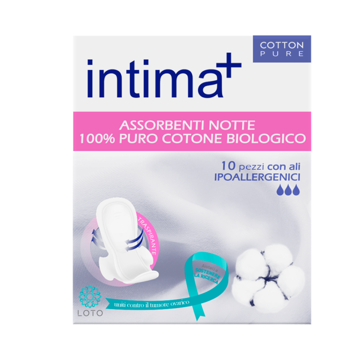 UNDERWEAR + ABSORB NTT W/WINGS 10PCS
