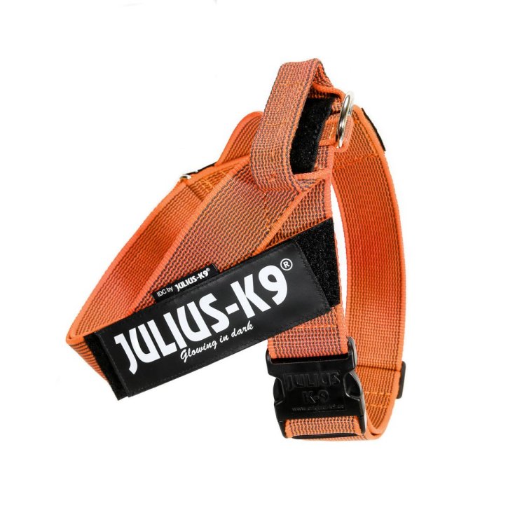 JULIUS K9 BELTHARNESS ORANGE HARNESS