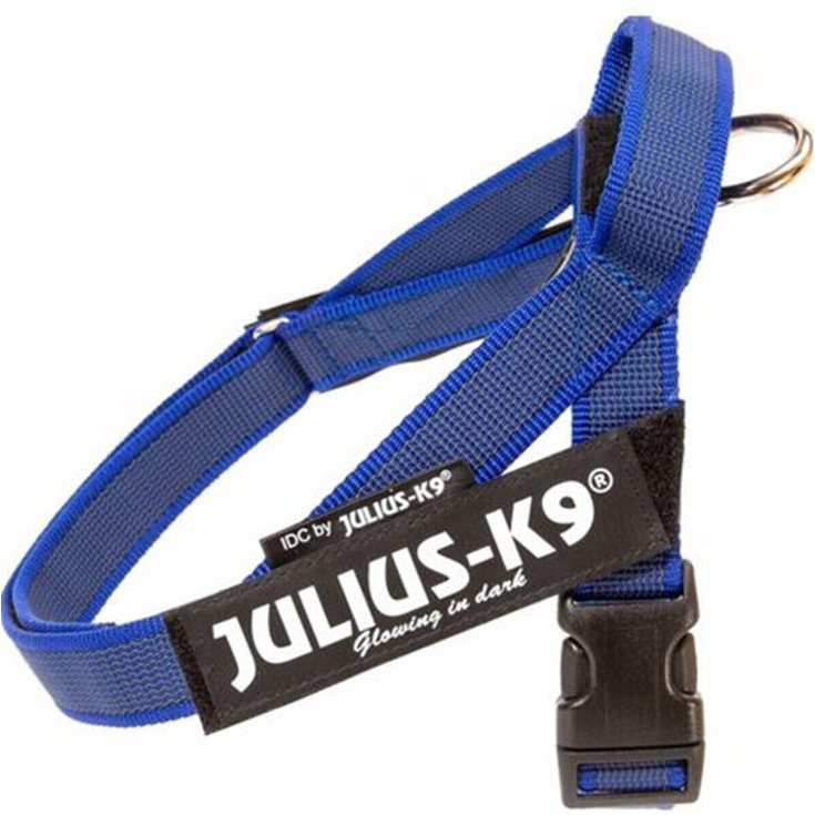 JULIUS K9 IDC COLOR & GRAY BELT HARNESS