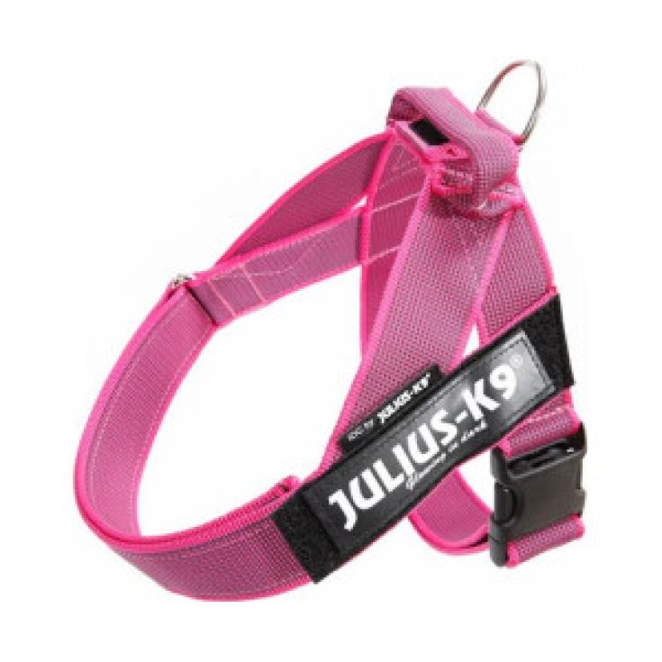 JULIUS K9 BELTHARNESS PINK HARNESS 1 6