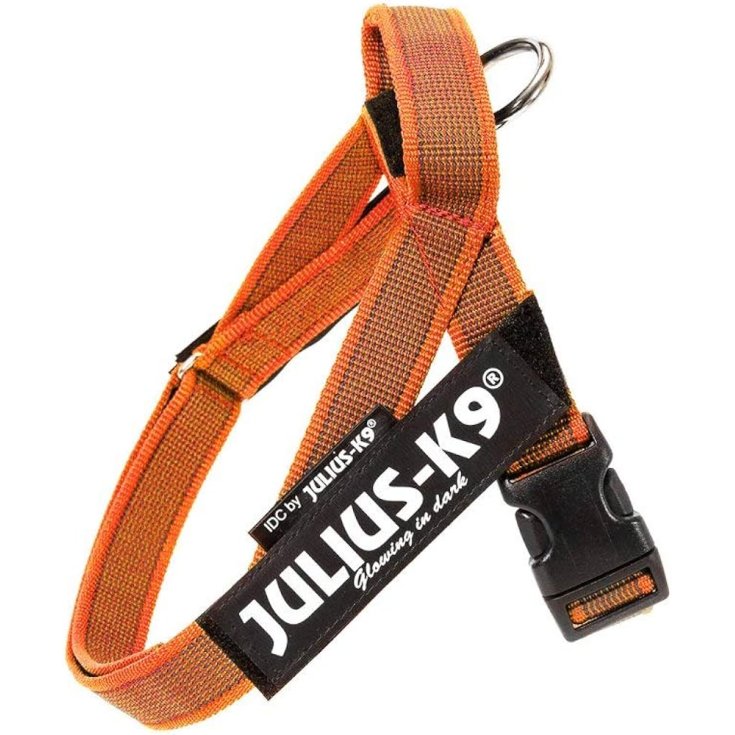 JULIUS K9 BELTHARNESS ORANGE HARNESS