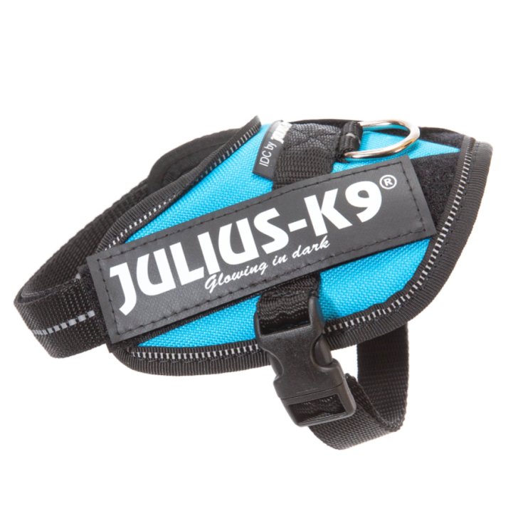 JULIUS K9 POWERHARNESS AQUAMA HARNESS