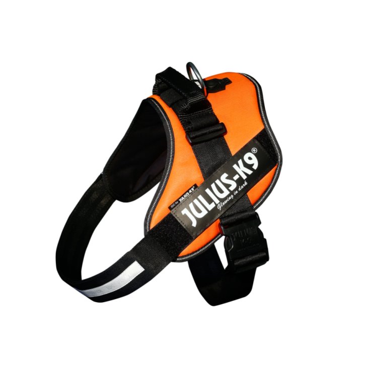 JULIUS K9 POWERHARNESS ORANGE HARNESS