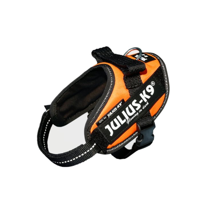 JULIUS K9 POWERHARNESS ORANGE HARNESS