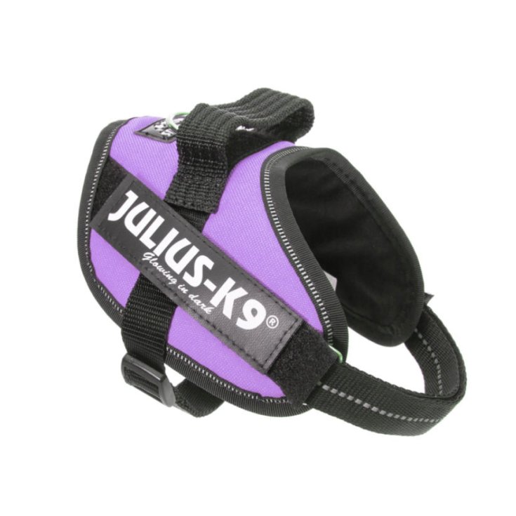 JULIUS K9 POWERHARNESS PURPLE HARNESS M