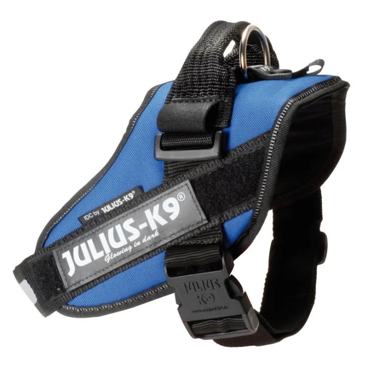 JULIUS K9 POWERHARNESS HARNESS BLUE 1 6