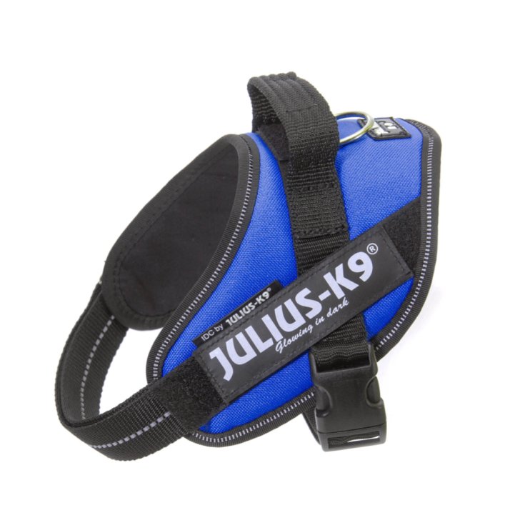 JULIUS K9 POWERHARNESS BLUE HARNESS MIN