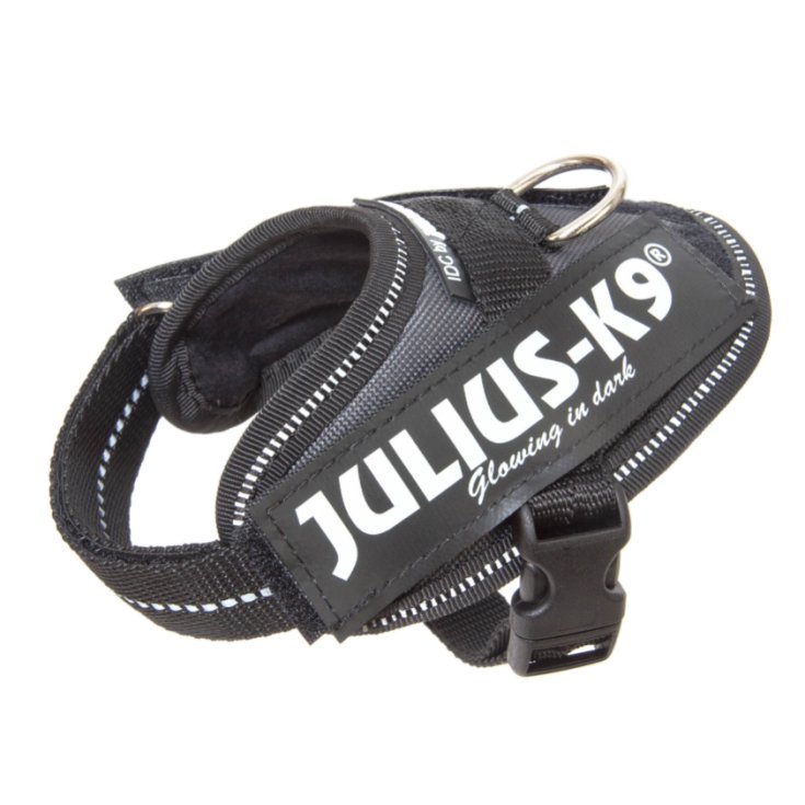 JULIUS K9 IDC POWERHARNESS HARNESS GRI