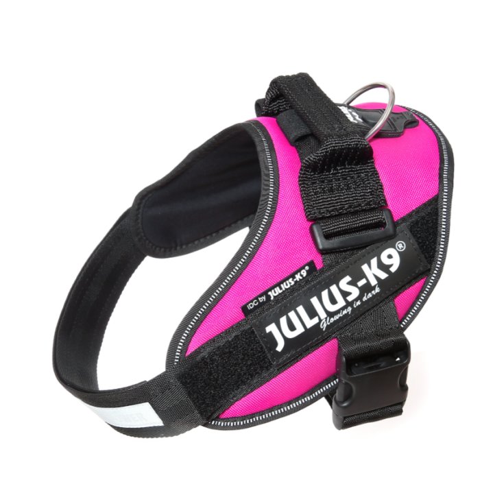 JULIUS K9 POWERHARNESS PINK HARNESS SC