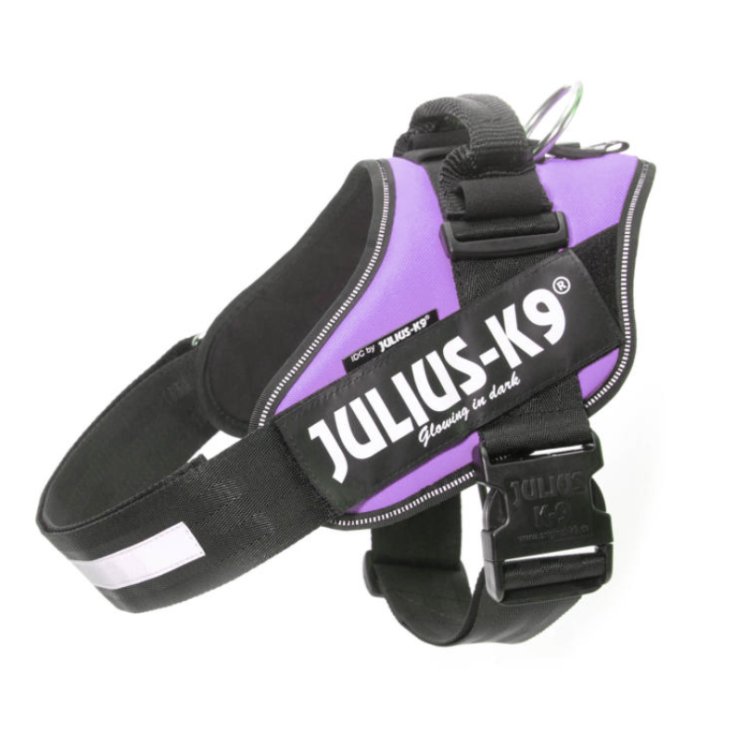 JULIUS K9 POWERHARNESS PURPLE HARNESS 1