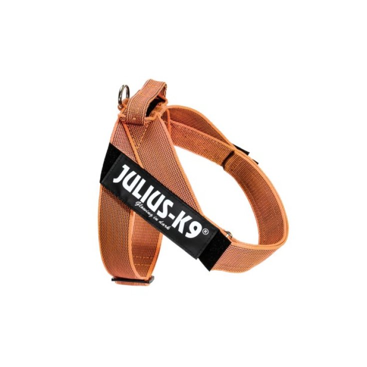 JULIUS K9 BELTHARNESS ORANGE HARNESS