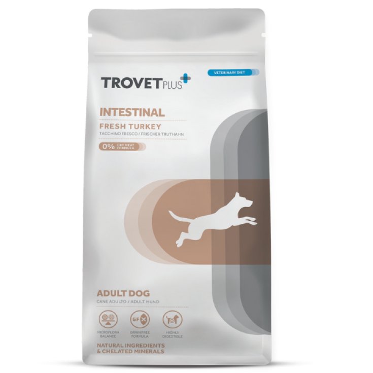 TP ADULT DOG INTEST TURK 10KG