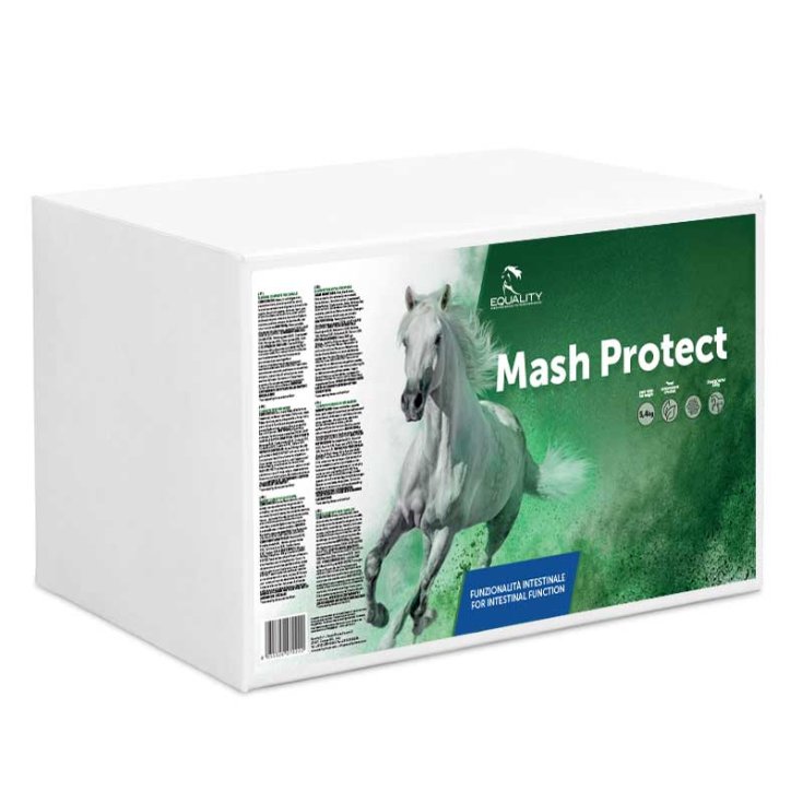 MASH PROTECT 9BAGS OF 600G