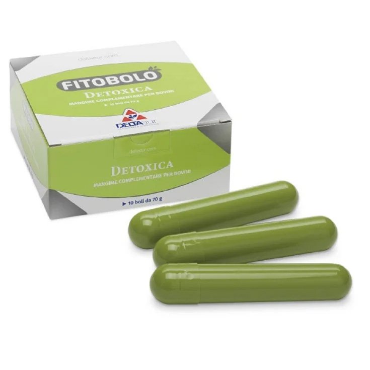 DETOXIC PHYTOBOL 10X70G