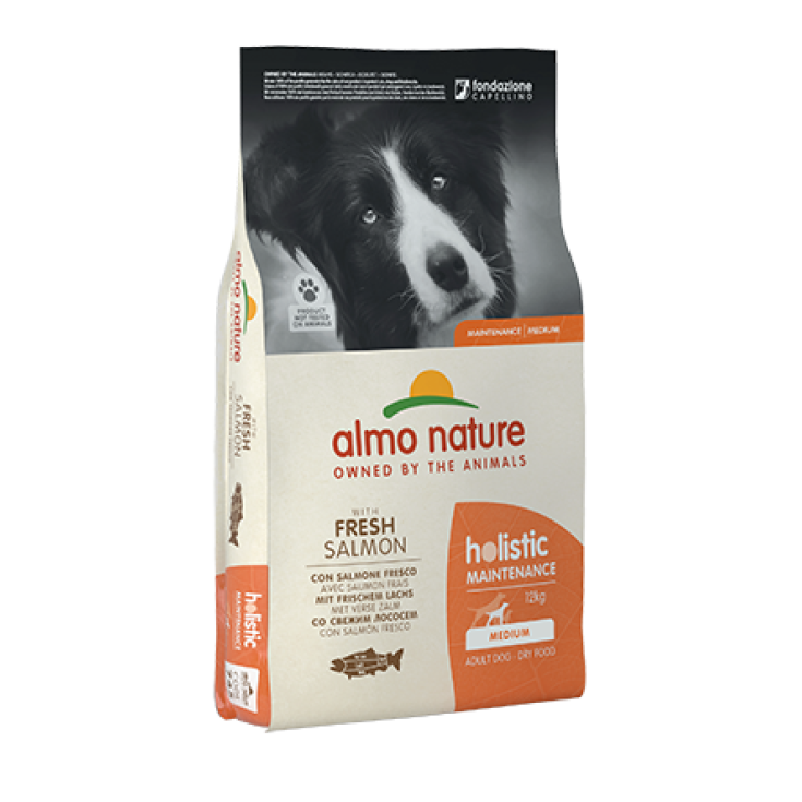 MEDIUM SALMON/RICE 12KG