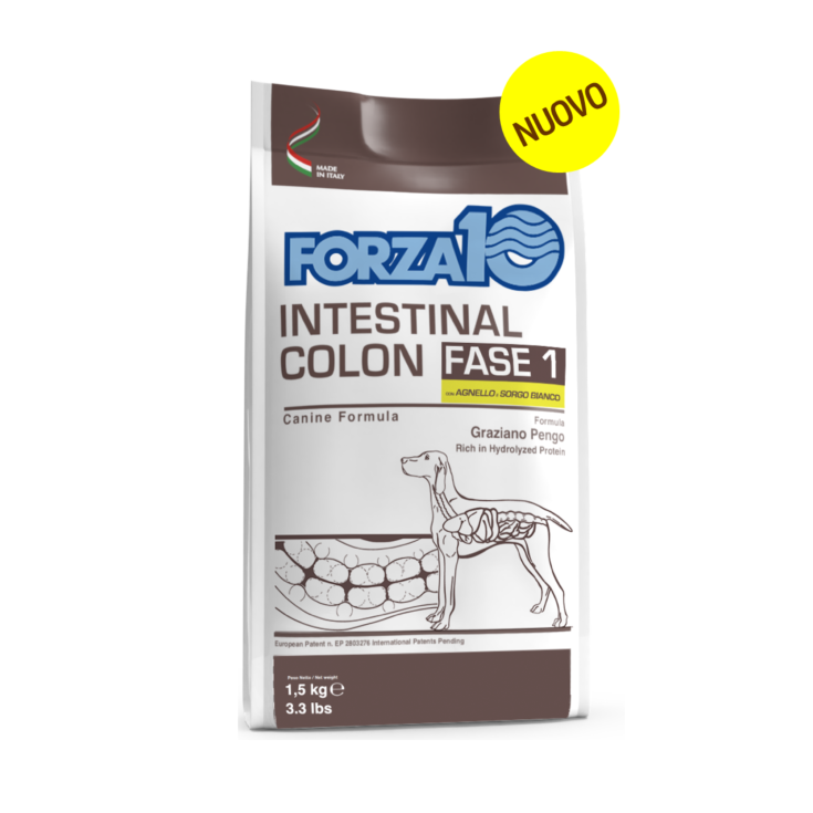 FORZA10 INTESTINAL CA/S DOG