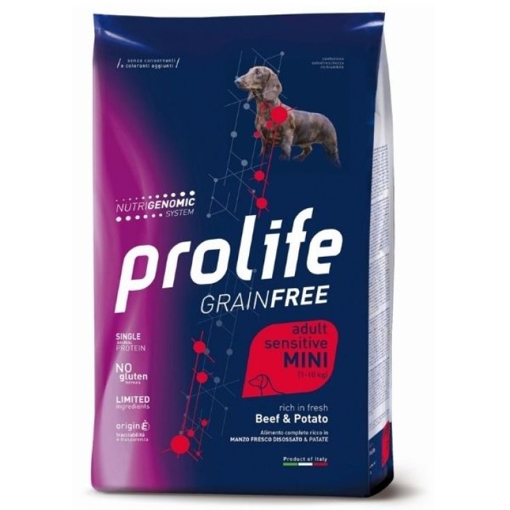 PROLIFE DOG GF AD BEEF&POT 2KG