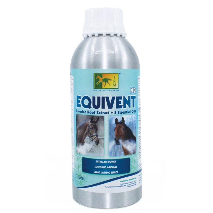 EQUIVENT ND 1 LT TRM EQUIVENT ND 1 LT TRM