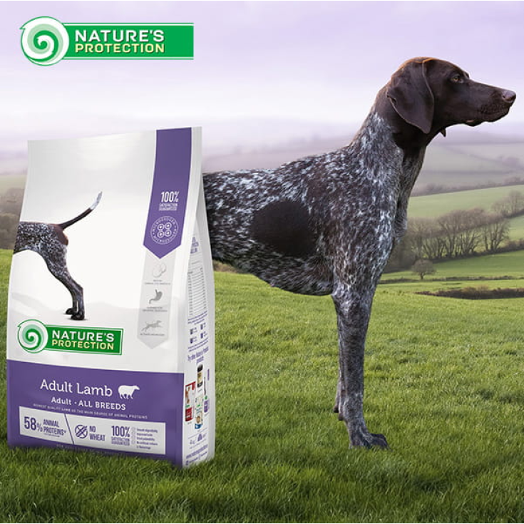 NP ADULT DOG LAMB ALL BREED 12KG