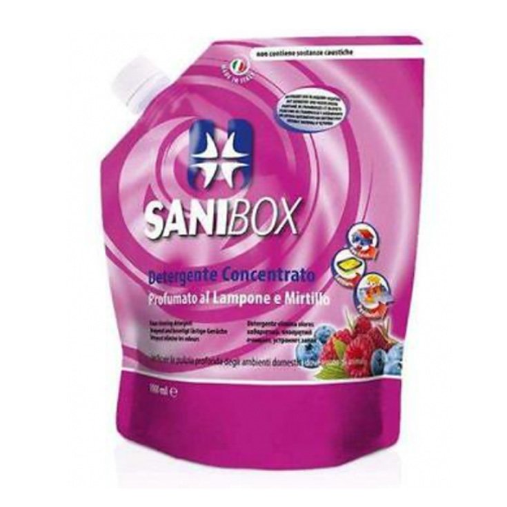 SANIBOX 1 LT RASPBERRY AND BLUEBERRY SANIBOX 1 LT RASPBERRY AND BLUEBERRY