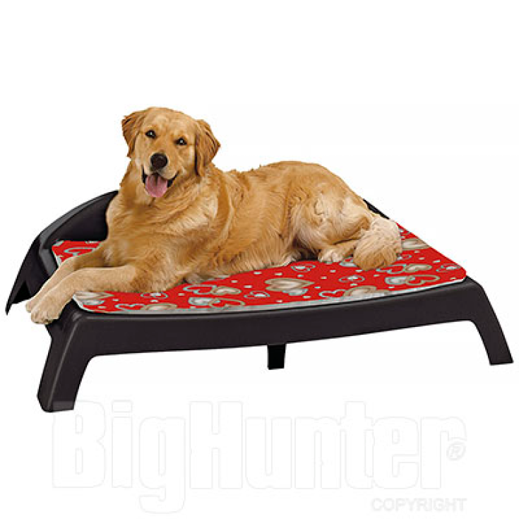 SLEEPY 100 BLACK BRAND. C/CUSC