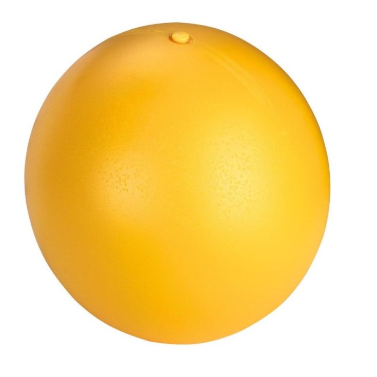 PIG ANTI STRESS BALL
