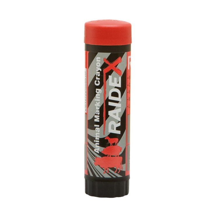 RAIDEX TAMPON SIRE SINE RED