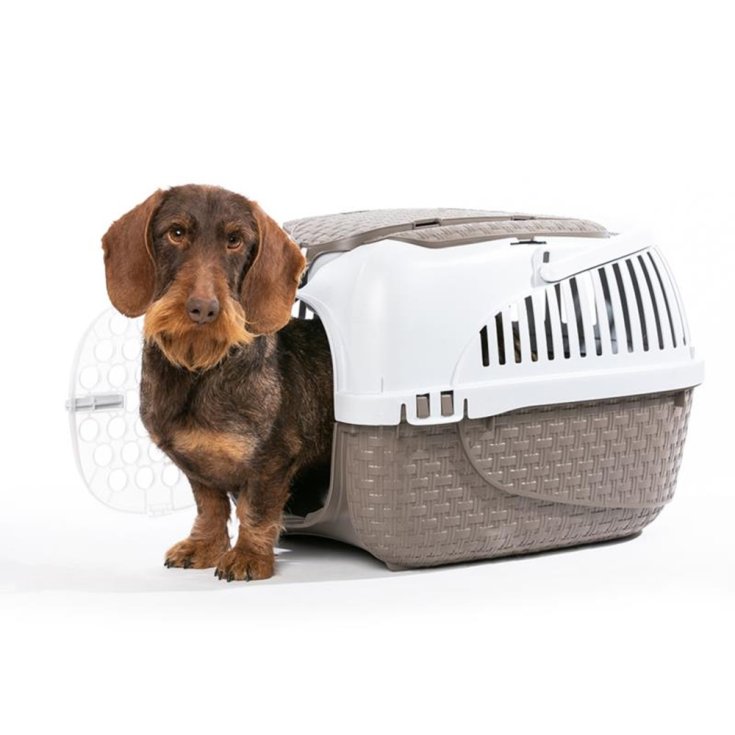 TAUPE MAXI TOUR CARRIER