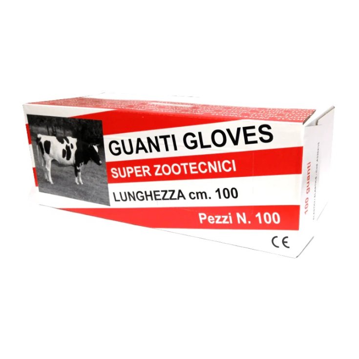 ZOOT GLOVES. ELASTIC GLOVES 100PCS