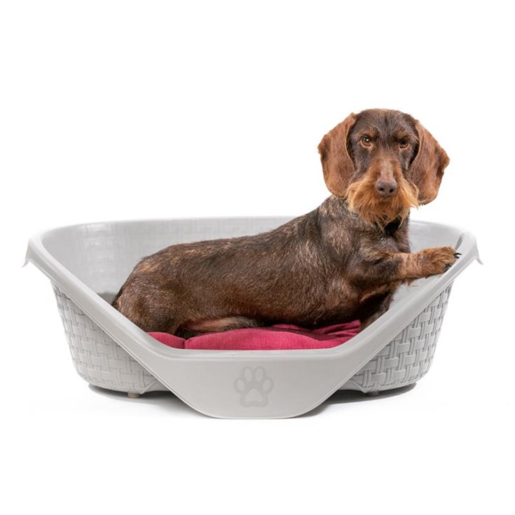 NEST BED 110CM