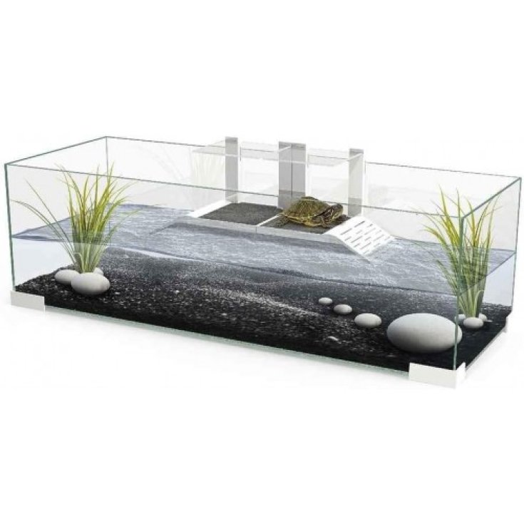 TARTARIUM 80 COOL