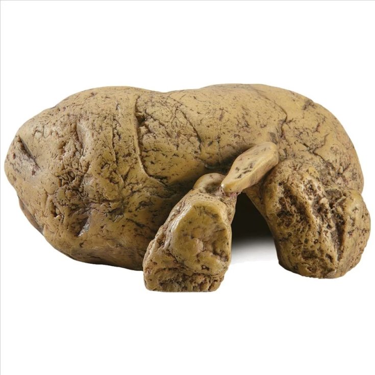 REPTILE CAVE SMALL PT-2930