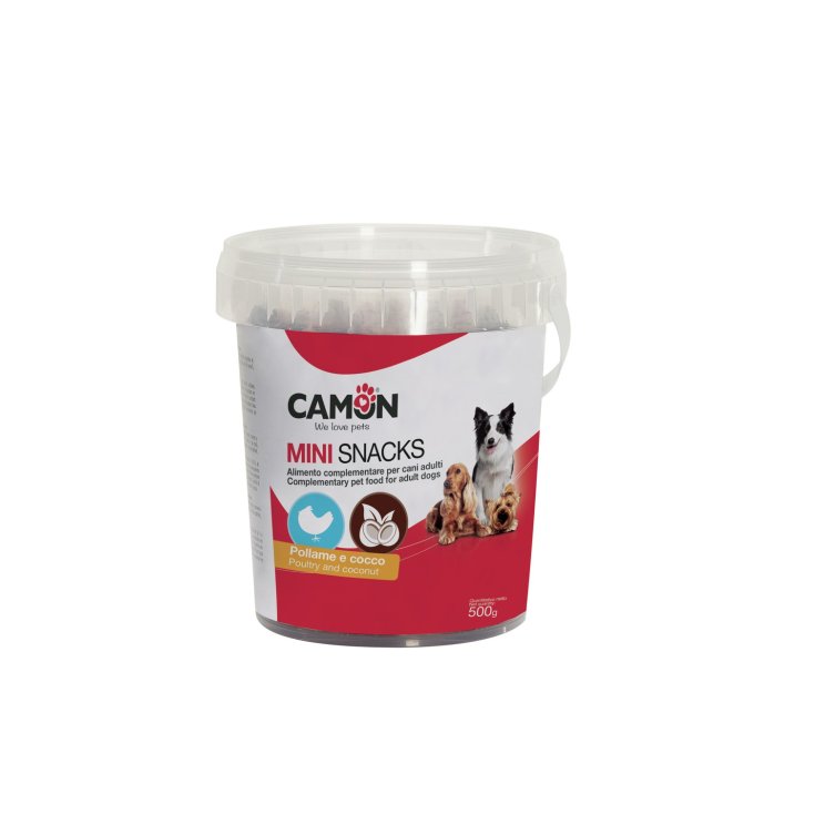 SNACKBOX BALLS CHICKEN COCONUT 500GR SNACKBOX BALLS CHICKEN COCONUT 500GR
