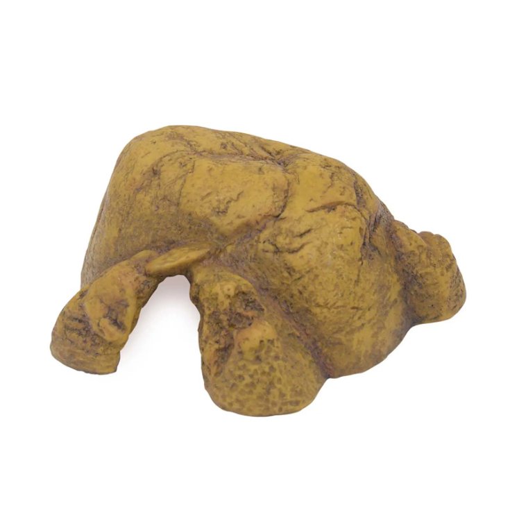 REPTILE CAVE MEDIUM PT-2931