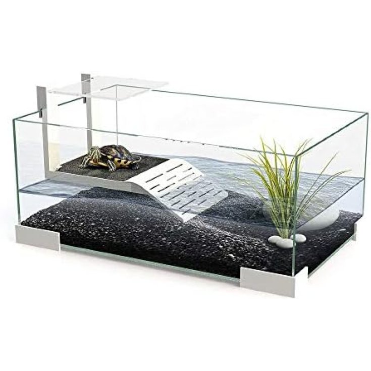 TARTARIUM 40 COOL